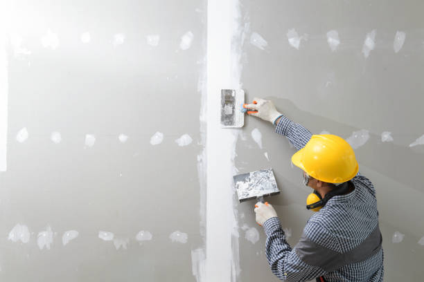 Best Comprehensive Air Testing for Mold Contaminants  in Cherryvale, KS