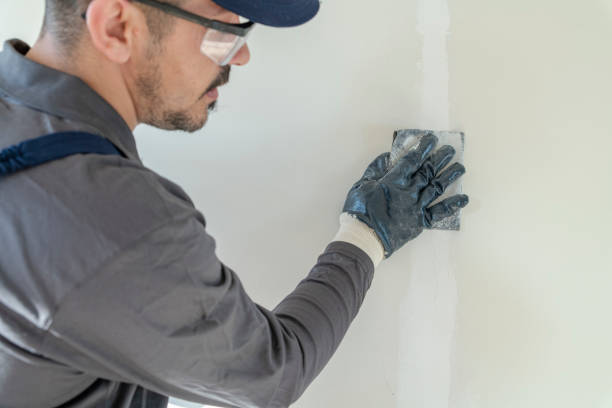 Best Environmental Consulting for Mold Prevention  in Cherryvale, KS