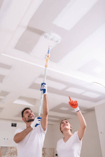 Best Environmental Consulting for Mold Prevention  in Cherryvale, KS