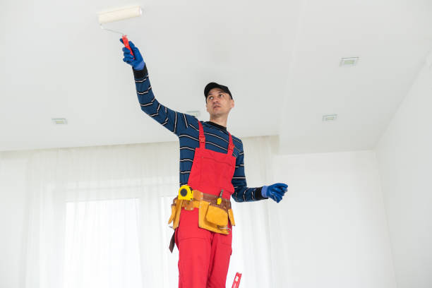 Best Basement Mold Removal  in Cherryvale, KS