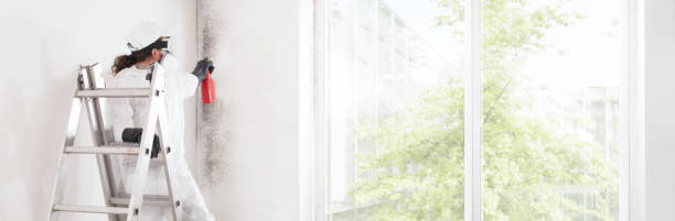 Best Air Quality Testing for Mold Spores  in Cherryvale, KS